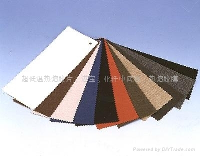 仿里皮 - FFL - FULI 广东省鞋类配件生产商的品质与信赖